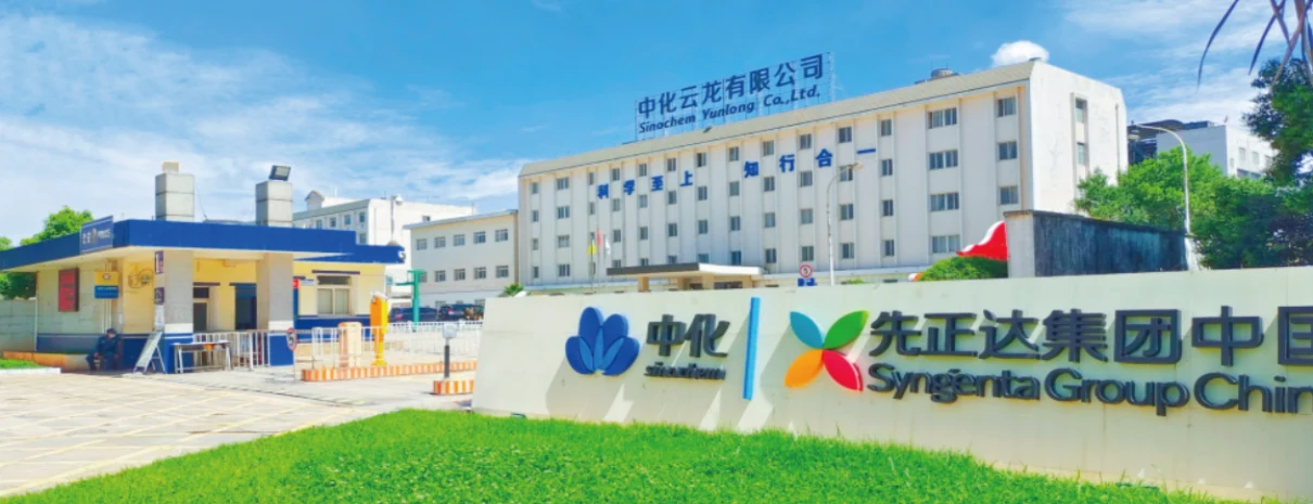 中化云龙抗晃电治理项目